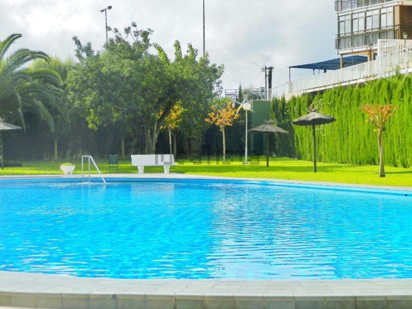 Apartamento En 1ª Linea Con Piscina Аликанте Экстерьер фото